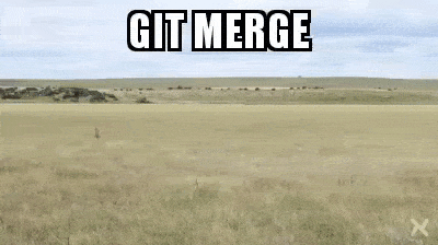 image.gif